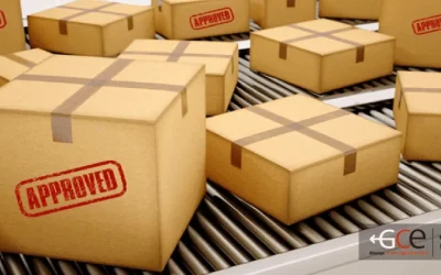 Why Choose a Freight Forwarder That Provides IOR / EOR Services?